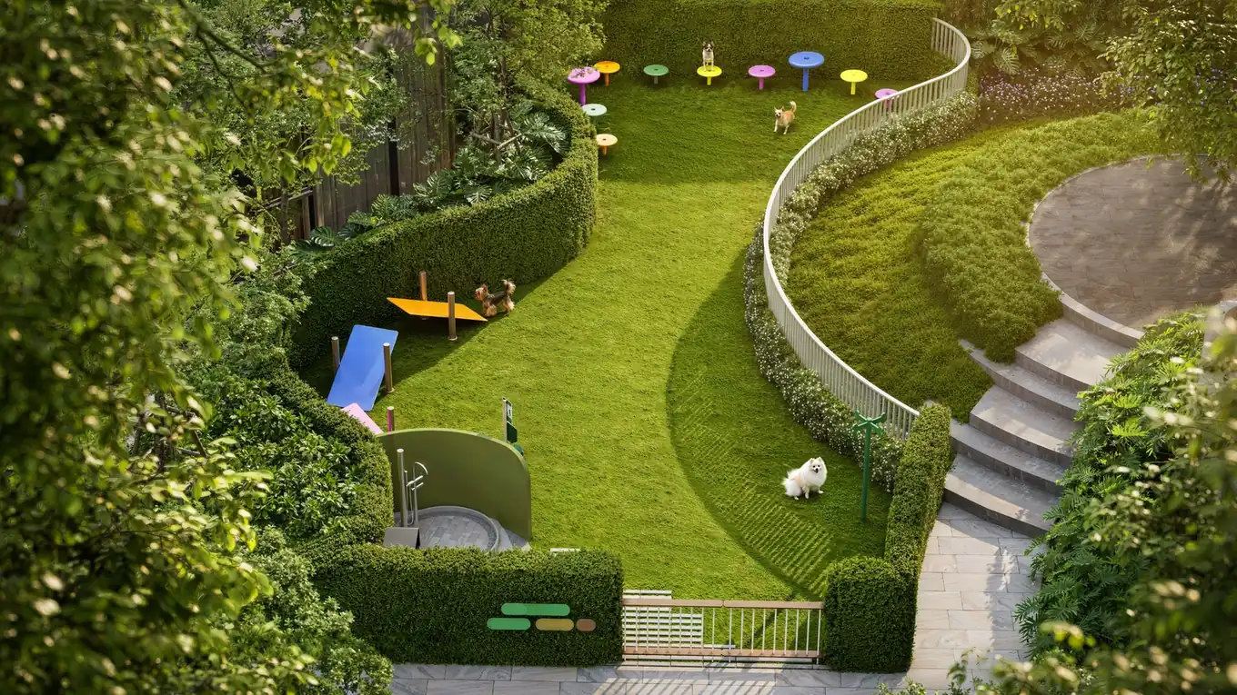 The Title Olive — garden path
