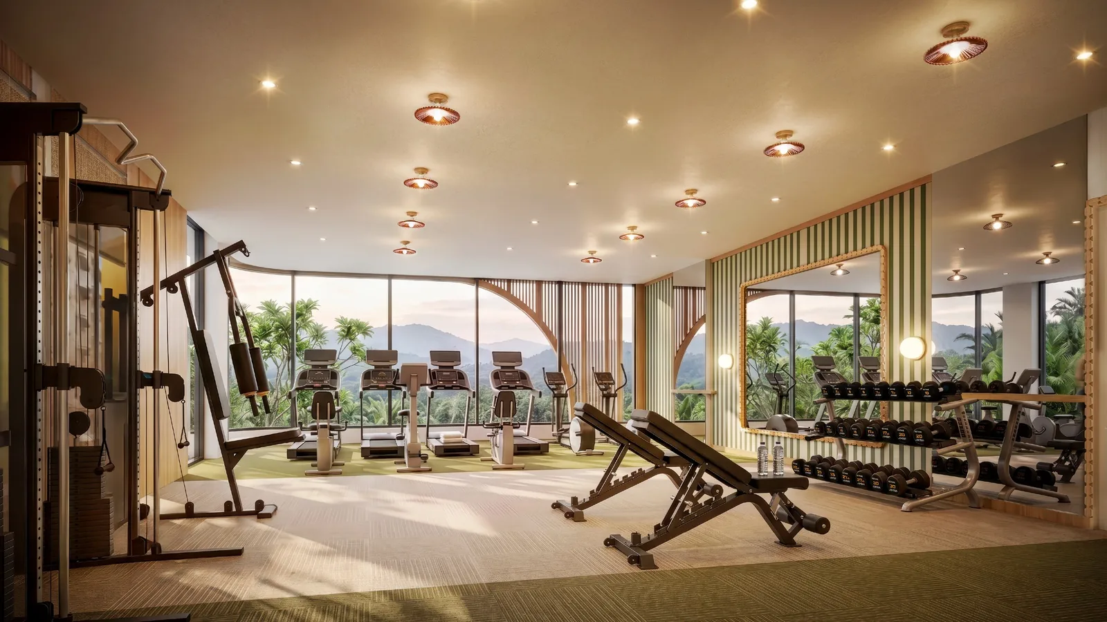The Title Olive — gym